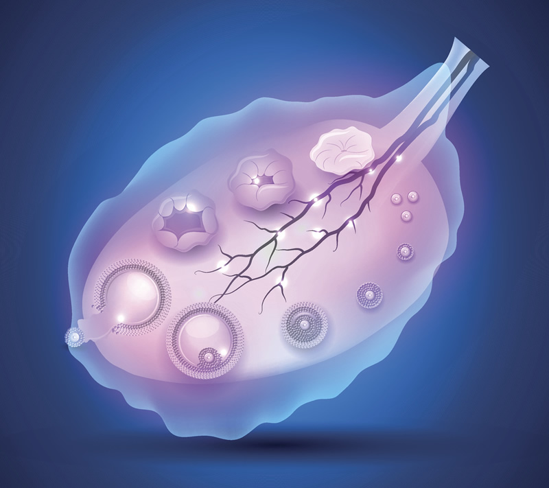 济南第三代试管婴儿吗？济南可以做第三代试管吗？